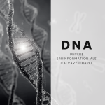 DNA Calvary Chapel: Gnade