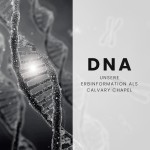 DNA Calvary Chapel: Heiliger Geist