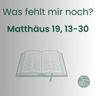 Matthäus 19, 13-30
